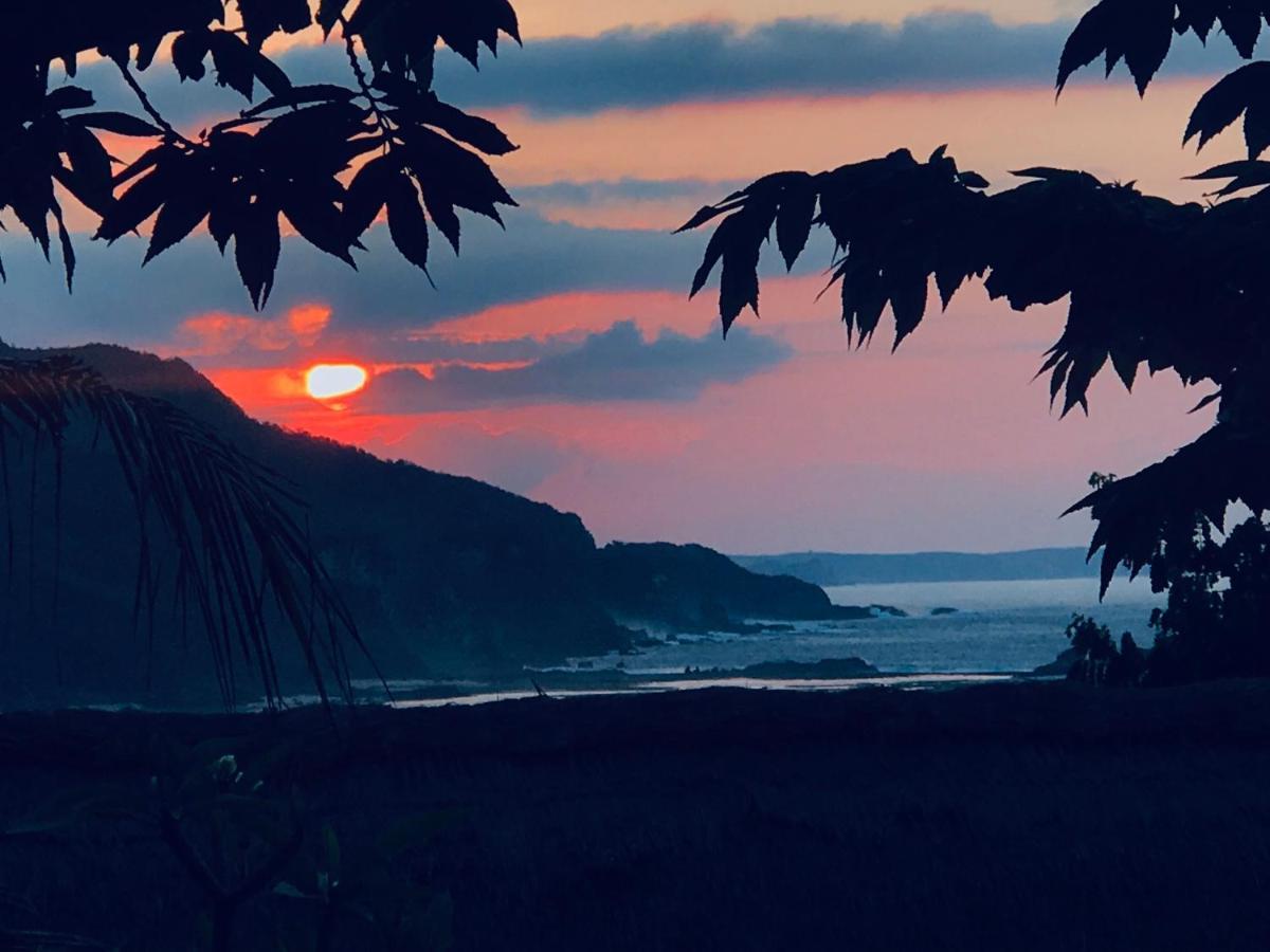 فندق Blue Monkey Retreat Areguling Lombok المظهر الخارجي الصورة