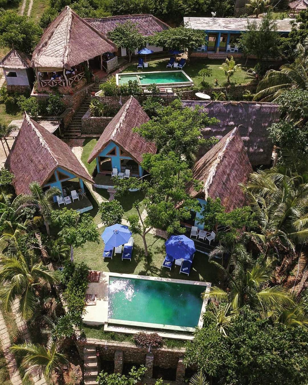 فندق Blue Monkey Retreat Areguling Lombok المظهر الخارجي الصورة